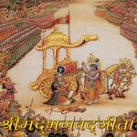 Shrimad Bhagwat Gita In Hindi icon