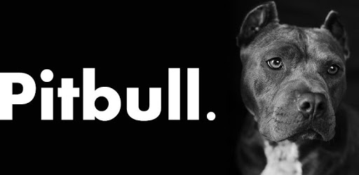 Pitbull Wallpaper pc screenshot