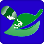 Biochemic (بایوکیمک) icon