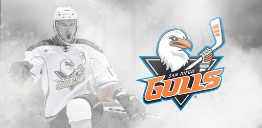 San Diego Gulls pc screenshot San Diego Gulls pc screenshot