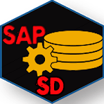 Learn SAP SD for pc icon Learn SAP SD for pc icon