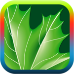 Nature ringtones icon