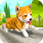 Pet Run Adventure icon