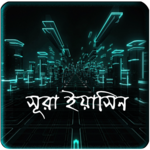 Sura Yasin With Audio Mp3 icon