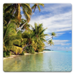 Sea and Tropics Wallpapers! icon