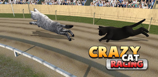 Crazy Cat Racing pc screenshot Crazy Cat Racing pc screenshot