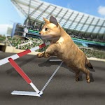 Crazy Cat Racing icon