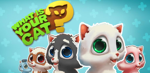 What cat are you? Game & Photo Scanner pc screenshot What cat are you? Game & Photo Scanner pc screenshot