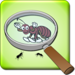 Best Magnifying Glass icon