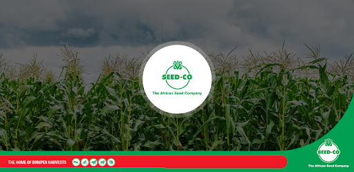 SeedCo Zimbabwe pc screenshot