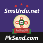 Send Free SMS to Pakistan icon