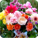 Flowers Gif Collection icon