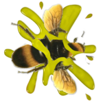 Bee Smasher icon