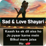 Sad & Love Shayari, Status & Quotes -Hindi Shayari for pc icon