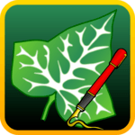 Ivy Draw: Vector Drawing for pc icon