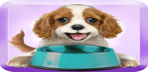Feed A Puppy pc screenshot Feed A Puppy pc screenshot