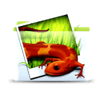 Search and Download Images icon