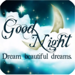 Good Night Wallpaper icon