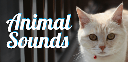 Animal Sounds pc screenshot