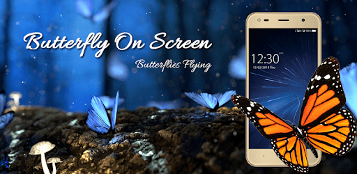 Butterfly on Screen : Butterflies Flying pc screenshot Butterfly on Screen : Butterflies Flying pc screenshot