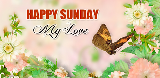 GIF Happy Sunday pc screenshot