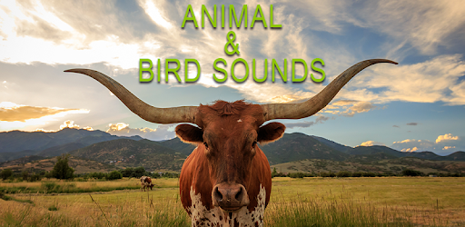 Animal and Bird Sounds pc screenshot