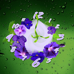 Flower Clock Free Wallpaper icon
