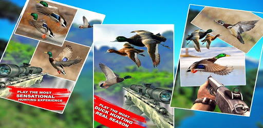 Winter Duck Shooting 3D pc screenshot