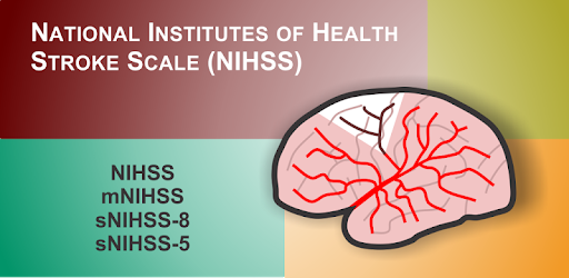 NIH Stroke Scale (NIHSS) pc screenshot NIH Stroke Scale (NIHSS) pc screenshot
