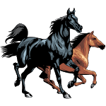 Horse breeds - Photos icon