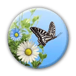 Butterfly icon