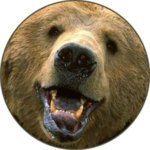 Bear (Animal) sounds icon