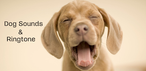 Dog Sounds Set as Ringtone pc screenshot Dog Sounds Set as Ringtone pc screenshot