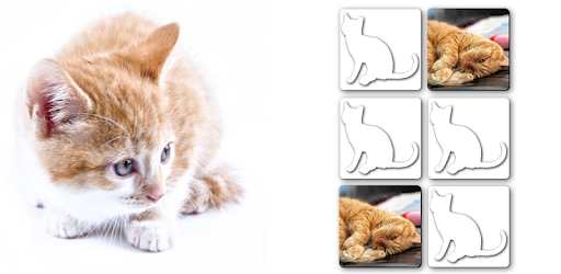 Puzzle Games free: Cute Cats pc screenshot