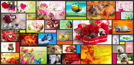 Postcards for congratulations pc screenshot