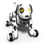 Zoomer icon