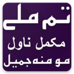 Tum Mile Urdu Novel By Momina Jamil icon
