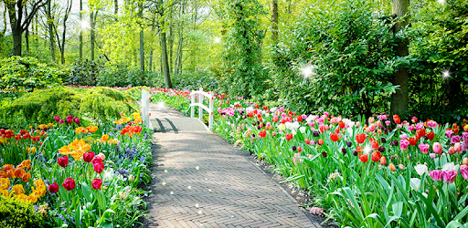 Spring Garden Wallpaper pc screenshot