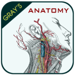 Gray's Anatomy - Atlas icon