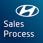 Hyundai Sales Process for pc icon Hyundai Sales Process for pc icon