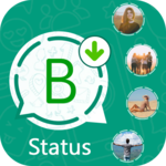 Bizz Status Download for Whatsapp Business icon