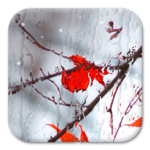 Drawing Frozen Screen Art icon
