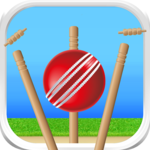 Cricket - Defend the Wicket icon