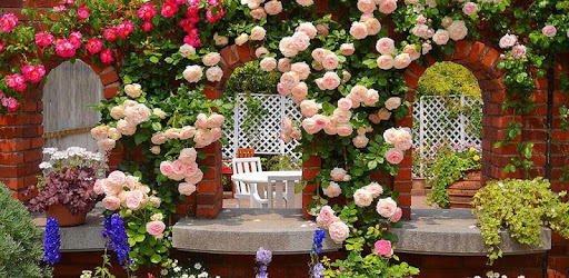 Roses Garden Wallpaper pc screenshot
