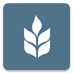 Calvary Chapel Chino Valley icon