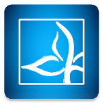 The Branch Church icon