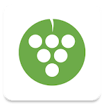Desert Vineyard Church icon