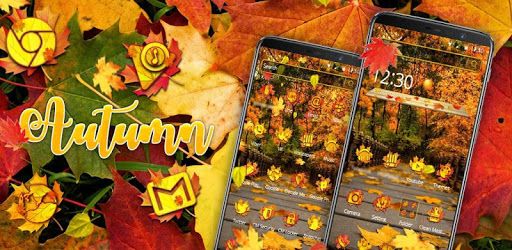 Sunny Autumn Fall Theme pc screenshot