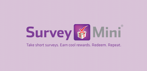 SurveyMini pc screenshot