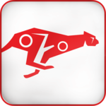 Red Cheetah (for use only in Lagos, Nigeria) icon